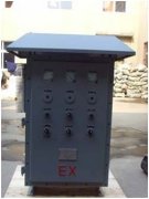 防爆型恒電位儀